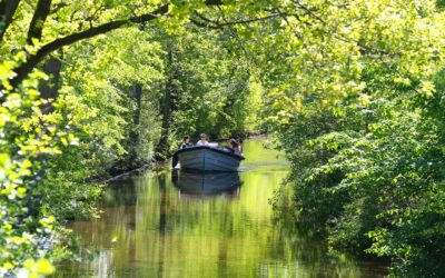 Was ist der Unterschied zwischen Biodiesel und HVO?